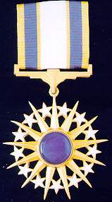 Councilor Medal